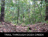 Doza Creek