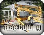 Tree Cutting