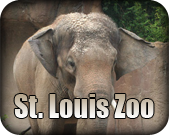 St. Louis Zoo