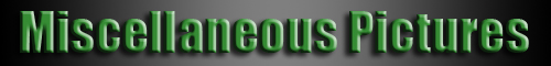 Misc Banner