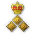 Brigadier General